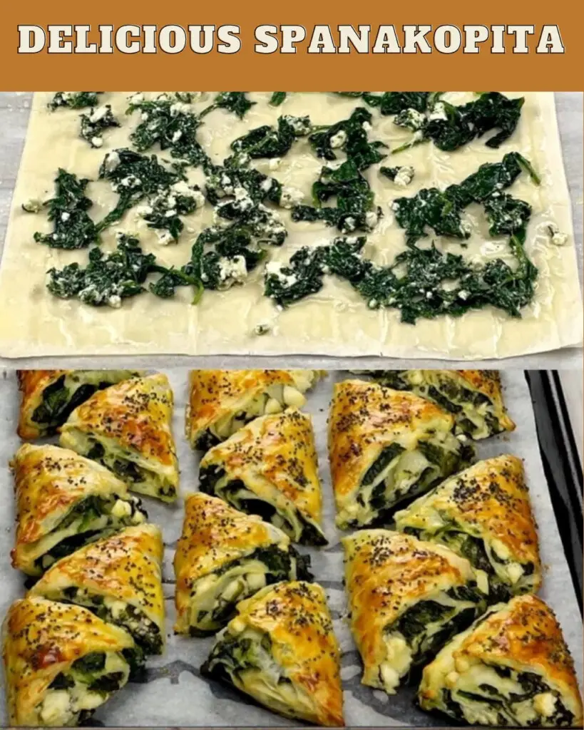 DELICIOUS SPANAKOPITA