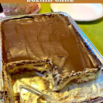 NO BAKE CHOCOLATE ECLAIR CAKE