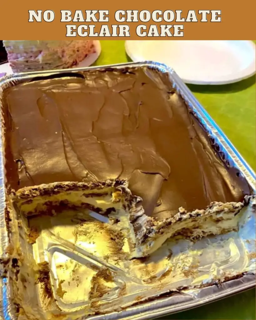 NO BAKE CHOCOLATE ECLAIR CAKE