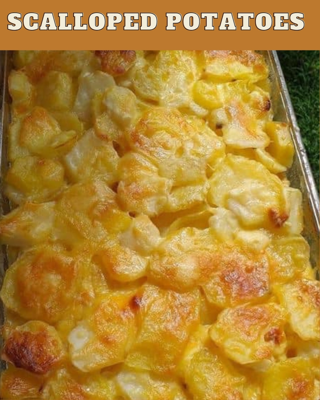 Scalloped Potatoes