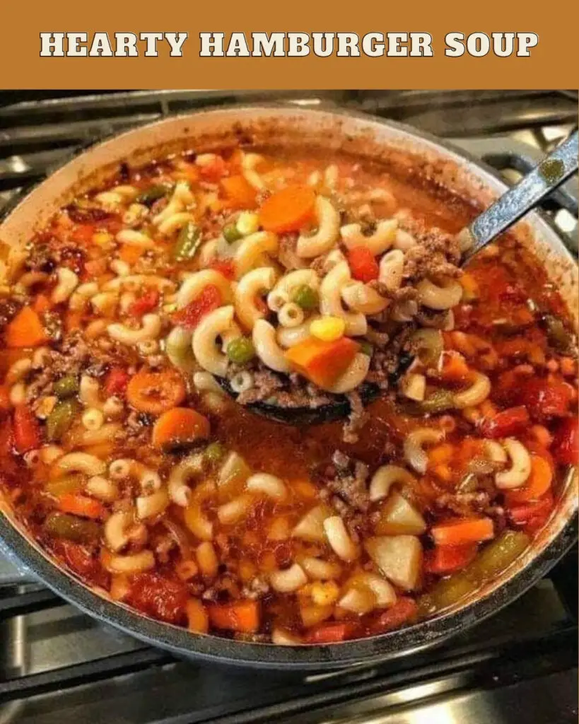 Hearty Hamburger Soup