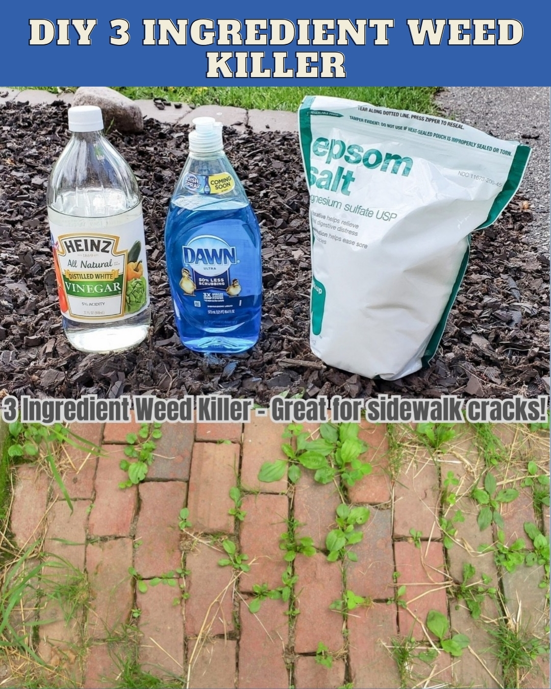 DIY 3 Ingredient Weed Killer