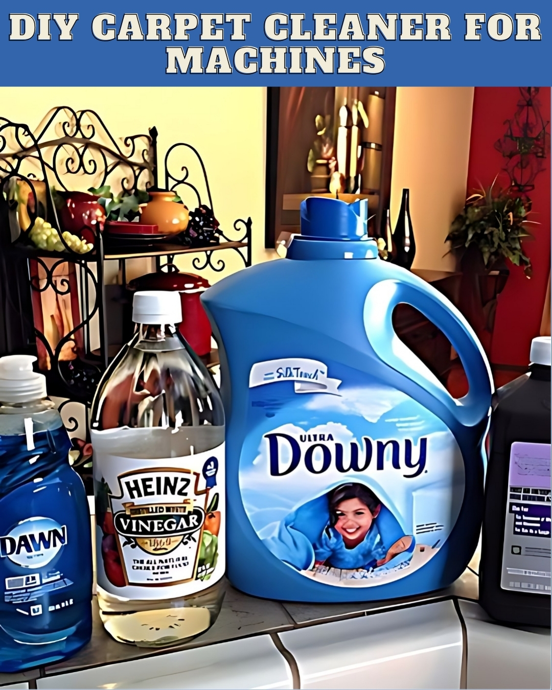 DIY Carpet Cleaner for Machines